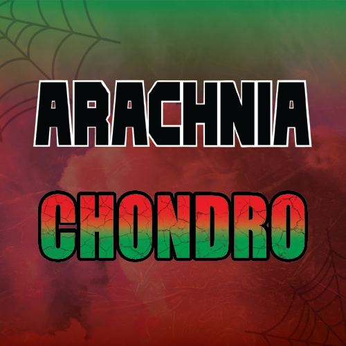 Arachnia - Chondro