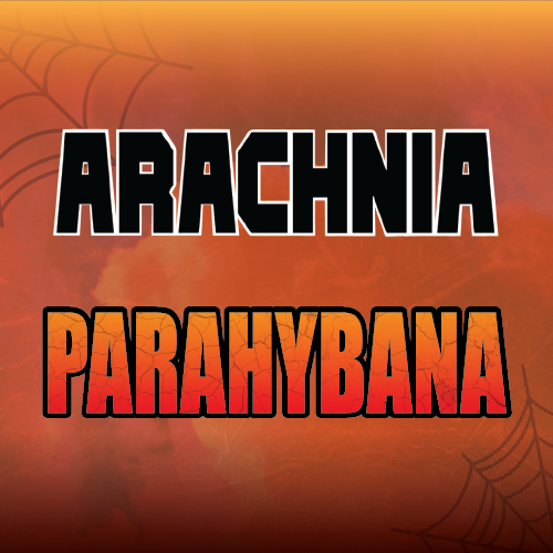 Arachnia - Parahybana