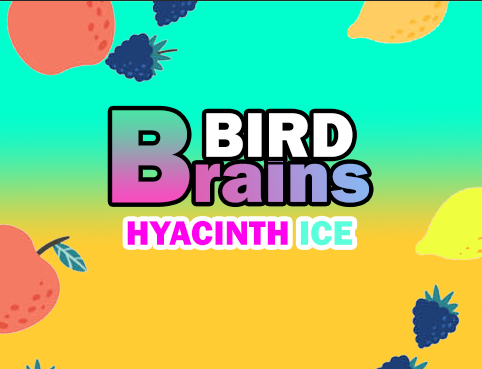 Bird Brains - Hyacinth Ice
